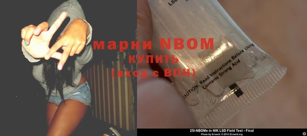 молекула духа Покачи
