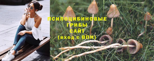бошки Покров