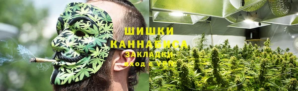 молекула духа Покачи