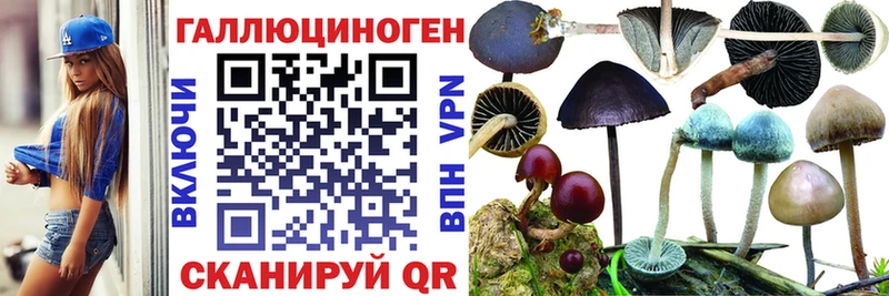 Псилоцибиновые грибы Psilocybine cubensis Уфа