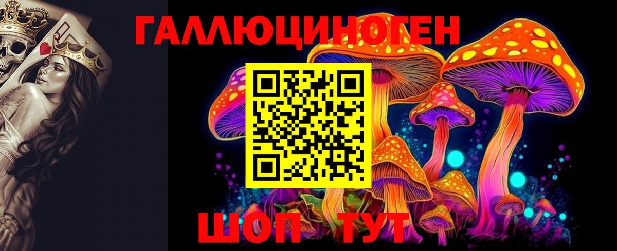 Галлюциногенные грибы Psilocybe Уфа